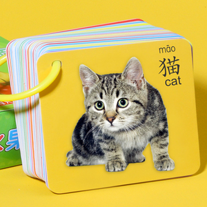 动物卡片儿童识字卡片早教认知宝宝婴儿启蒙识图识物幼儿益智玩具