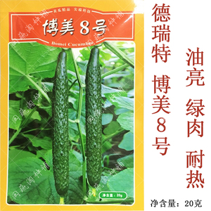 天津德瑞特 博美8号 露地青瓜黄瓜种子油亮绿肉耐热黄瓜蔬菜种籽