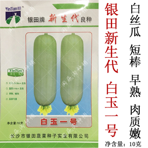 长沙银田新生代 白玉一号白丝瓜种子 早熟短棒白皮丝瓜种籽肉质嫩