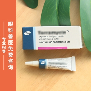 美国辉瑞眼膏进口宠物眼药膏外用猫咪狗狗结膜炎红肿发炎消炎3.5g