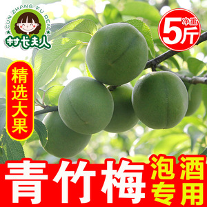 【大果】青梅果新鲜现摘当季孕妇水果野生泡酒鲜梅子酵素5斤整箱