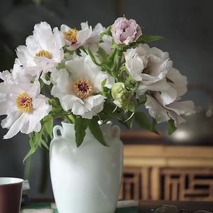 新鲜当季单瓣油画牡丹芍药昆明基地直发水养插花室内家庭顺丰包邮