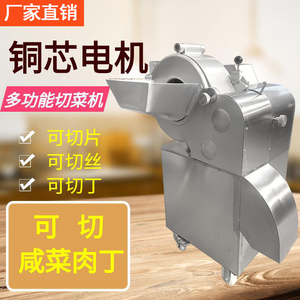 切丁机商用切咸菜土豆洋葱冻肉切菜机专业全自动切块切丝切丁机器