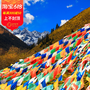 藏族无字经幡7米1条20面五色彩旗藏式装饰用品民族风支持定制促销