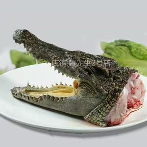 3斤左右新鲜鳄现杀鱼头肉 带皮肉 养殖鳄鱼煲汤食材_阿里巴巴找货神器