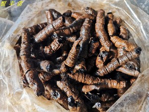 广东德庆特大巴戟天鸡肠风鸡眼三角黑藤钻药材泡酒1件500克包邮