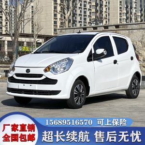 电动四轮车家用成人小型汽车新能源全封闭代步车油电两用电瓶轿车