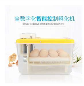 小型全自动小鸡孵化器迷你