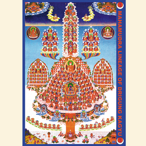 结缘藏传佛教密宗噶举派皈依境佛像噶举派资粮田画像相纸双面塑封