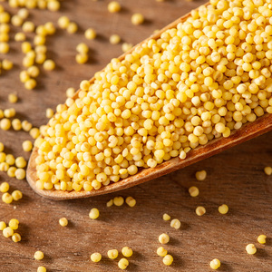 山西 特产 阳府井 临县 小米2.5kg 营养 健康 粟