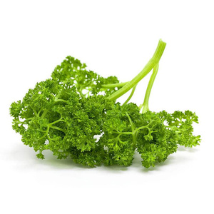 北京欧芹新鲜蔬菜法香250g 巴西里荷兰芹西餐香料 京津冀满88包邮
