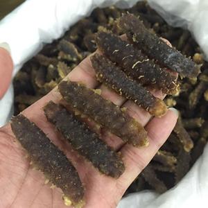 野生马来西亚黑刺参 刺王参 进口野生海参500克 精选货 约60-70头