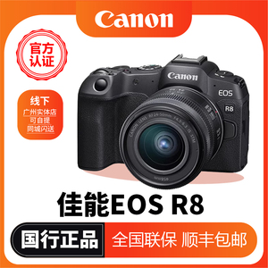 【国行正品】佳能R8全画幅专业微单相机eos r8入门级旅游数码相机