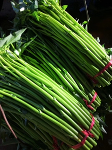 现摘当季海南网红特产无公害有机绿色食品蔬菜空心菜直销包邮发货