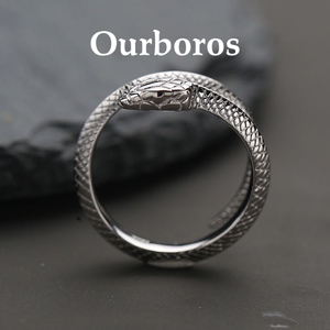 衔尾蛇戒指赤练蛇银色戒指男潮嘻哈个性霸气戒指