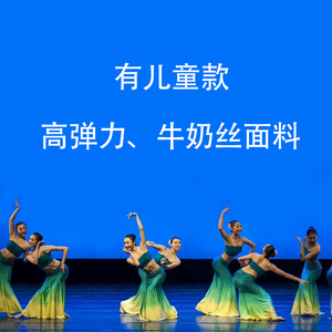 傣族舞蹈演出服女艺考桃李杯民族舞孔雀舞雨竹林表演包臀鱼尾裙