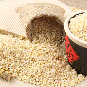 内蒙特产宁城高粱米精选杂粮五谷粗粮熬粥粗纤维新货白高粱米去壳