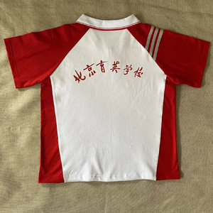 北京育英学校短袖 夏季中小学生校服纯棉短袖t恤polo领来图定制