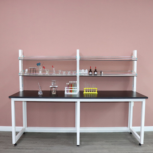 定制全钢玻璃试剂架实验室工作台药品放置架理化板化验桌置物架