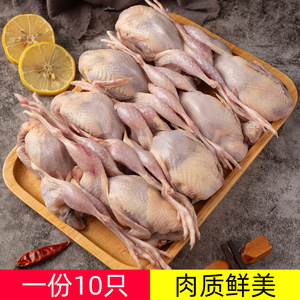 鹌鹑肉新鲜冷冻鹌鹑冻鲜生骨肉俺鹑烧烤鹌鹑鸟冰冻商用非乳鸽子肉