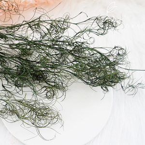 桑妮花艺 永生花diy材料包叶材戈尔纳头发丝植物真花插花材料