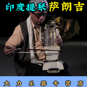 萨朗吉琴sarangi印度小提琴进口专业舞台演奏古典拨弦小众乐器