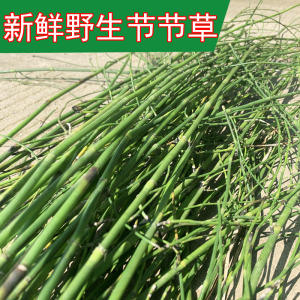 803人付款淘宝笔杆果 木贼子 地下珍珠 云南野生锁眼草籽木贼籽 空心