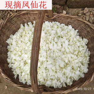 白色凤仙花瓣新鲜现摘整朵泡醋打浆种子染指甲草花植物遮白发热卖