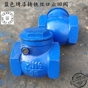 h14t-10丝口铸铁止回阀普通1寸1.5寸2寸-4寸蓝色铸铁丝扣单向阀