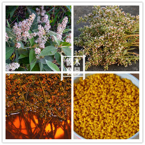 五彩米糯米饭 纯正植物染色花米饭多依河网店11