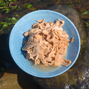 900人付款淘宝初田食材 水发笋干 包装 480克 玉兰