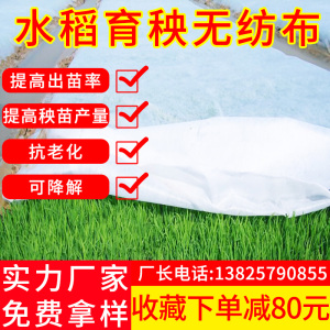 水稻育秧无纺布白色抗老化农用育苗草坪绿化蔬菜保温防虫透气布料