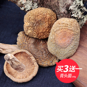 【买3送1】青头菌干货野生绿头菌蘑菇云南特产野生菌新鲜菌菇100g