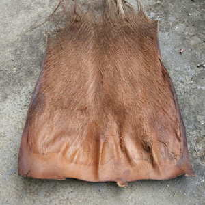 棕榈皮复古家居棕毛棕榈衣绿萝棒棕衣棕片棕树皮棕丝绿植盆栽