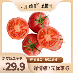 山东海阳普罗旺斯西红柿4.5斤装(8-15个左右）
