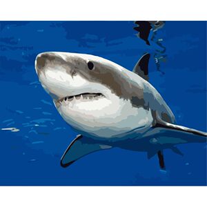 diy数字油画材料包自己填色鲨鱼海中狼海洋最凶猛鱼类家居装饰画