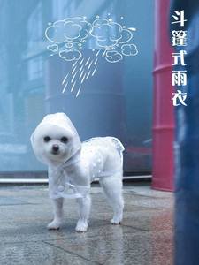 狗狗雨衣泰迪柯基比熊雪纳瑞小型犬雨伞小狗四脚防水雨披宠物衣服