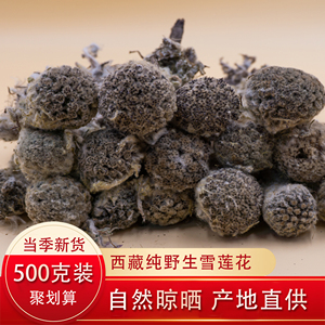 【藏雪莲花】藏雪莲花品牌,价格 - 阿里巴巴