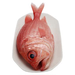 厚今海鲜 海钓将军甲 刺身鱼 冰鲜水产 新鲜到家 坏单包赔 2斤/条