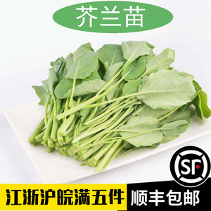 新鲜芥兰苗500g迷你小芥兰苗gai lan当季蔬菜酒店食堂蔬菜食用