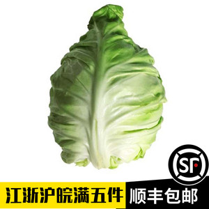 jxllh19870722淘宝四川农家牛心包菜新鲜牛心莲花白手撕尖尖卷心菜