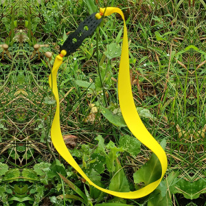 暴力黄扁皮防冻耐用大威力极速超大拉无架弹弓皮筋组户外