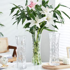 【两件套】网红特大号玻璃花瓶透明水养富贵竹花瓶客厅落地插花瓶