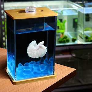 创意超白玻璃斗鱼缸泰国斗鱼桌面微景生态水族箱小型热带观赏鱼缸