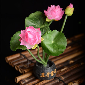 摆盘荷花冷菜点缀花草创意菜品装饰饭店菜品摆盘花日式刺身装饰品