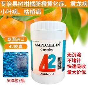 柑橘脐橙黄龙病黄化症盐酸四环素泰国42蓝色胶囊黄龙病果树打针