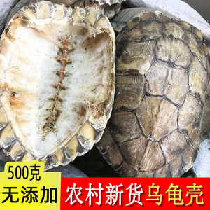 806人付款淘宝炙龟板