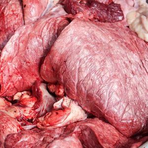 【百味街精品】生牛肺新鲜牛肺另有生熟牛杂牛肝牛心牛肚