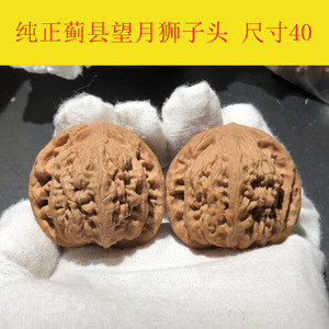 顽皮核桃纯正蓟县望月狮子头小众文玩核桃高密度好皮质实物拍摄