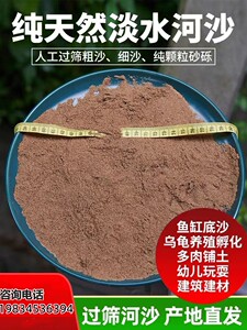 天津天然河沙养花种植拌土粗细黄沙多肉乌龟冬眠鱼缸底沙建筑试验